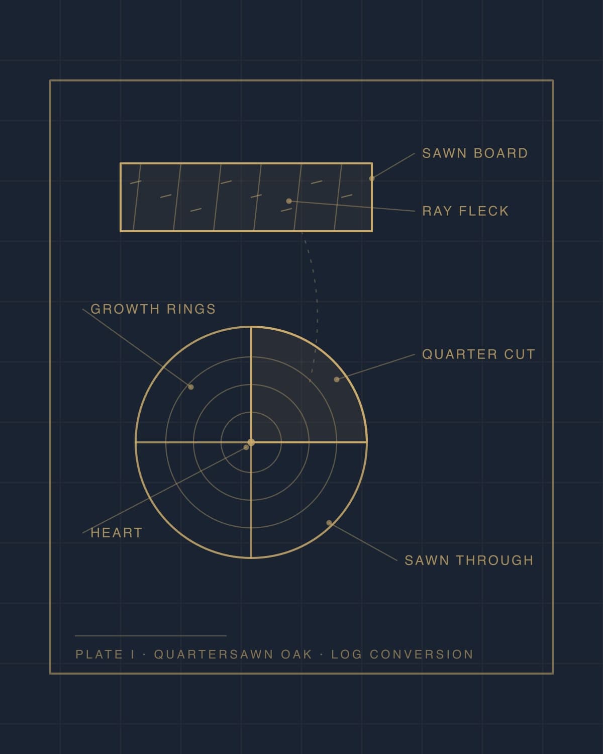 Drawn specimen plate: quartersawn oak board section above the log end-grain it is cut from, gold line on navy